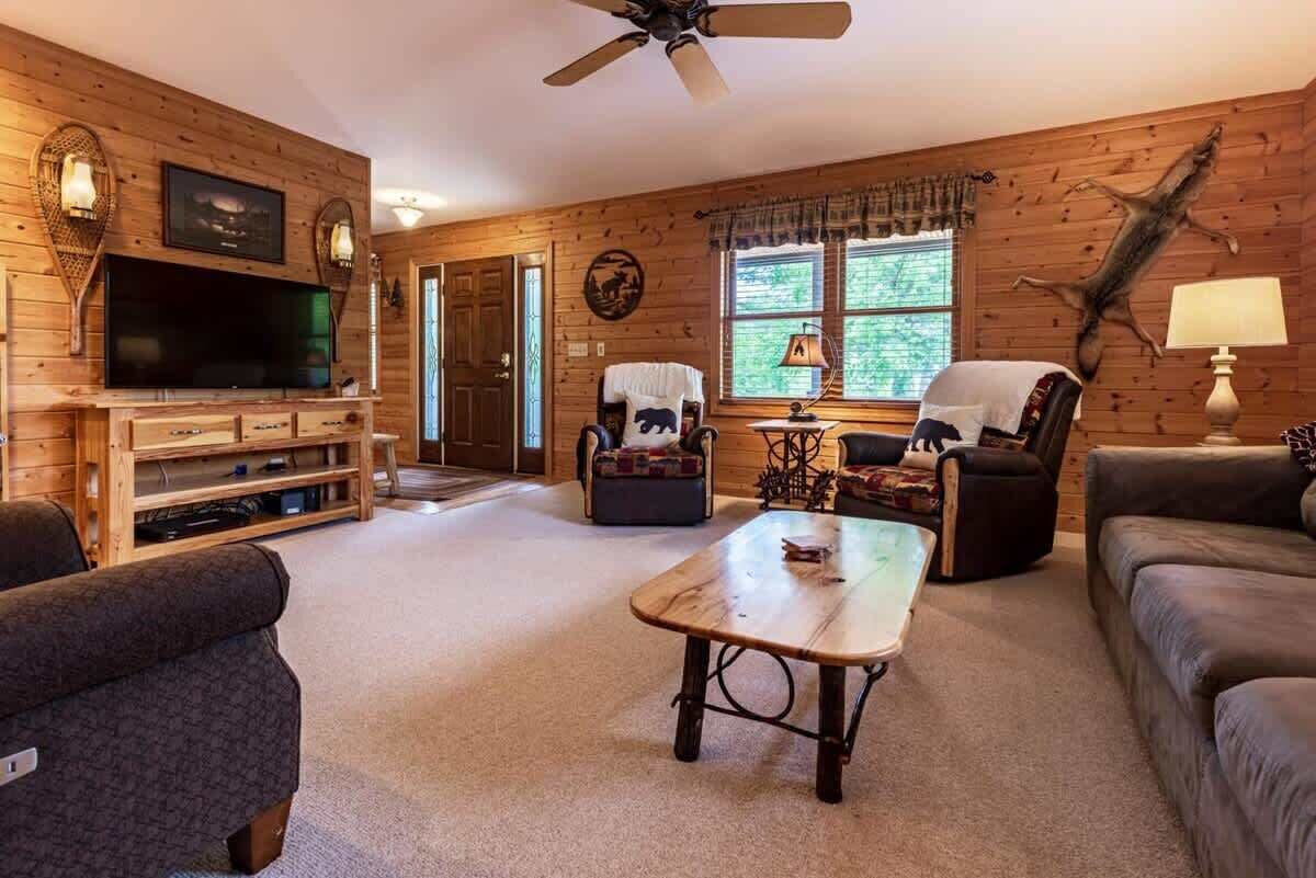 テレビ、暖炉、DVD プレーヤー、書庫