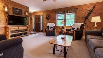 TV, fireplace, DVD player, books