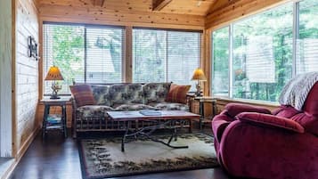 TV, fireplace, DVD player, books