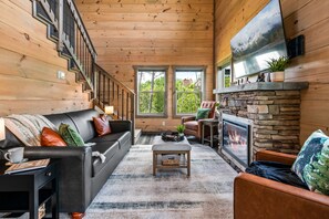 Smart TV, fireplace, DVD player, video library
