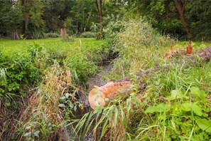Terrain de l’hébergement 