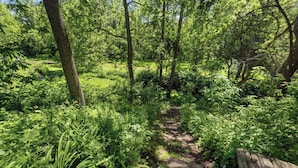A forested area with a dirt path and a wooden bench. - Château Ravine, backing onto a beautiful tree-filled ravine  (Niagara-on-the-Lake)