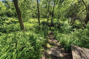 A forested area with a dirt path and a wooden bench. - Château Ravine, backing onto a beautiful tree-filled ravine (Niagara-on-the-Lake)