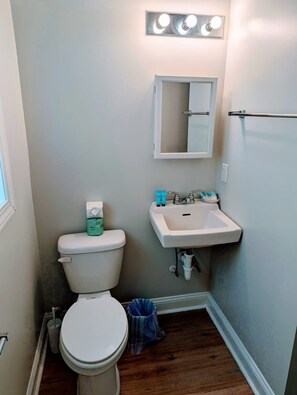 Shower, hair dryer