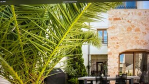 Un patio con una mesa y sillas de comedor, una parrilla y una palmera grande.