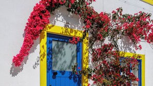 A building with a blue door, a yellow wall, and a potted plant on the ground. - Art Oasis 2-3BR Home in Historic Quarter by Portimao Pier (Portimão)