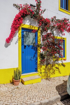 A building with a blue door, a yellow wall, and a potted plant on the ground.
