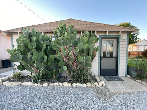 20 minutes from Carrizo Plain National Monument. Twisselman's Cactus Casa 