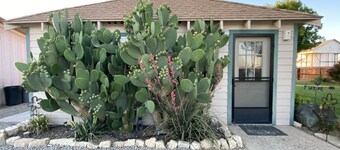 20 minutes from Carrizo Plain National Monument. Twisselman's Cactus Casa 