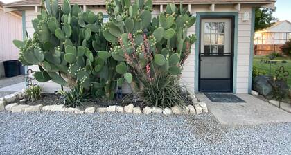 20 minutes from Carrizo Plain National Monument. Twisselman's Cactus Casa