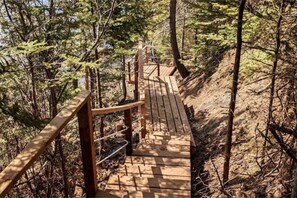 Property grounds - The Lookout (Lunenburg)