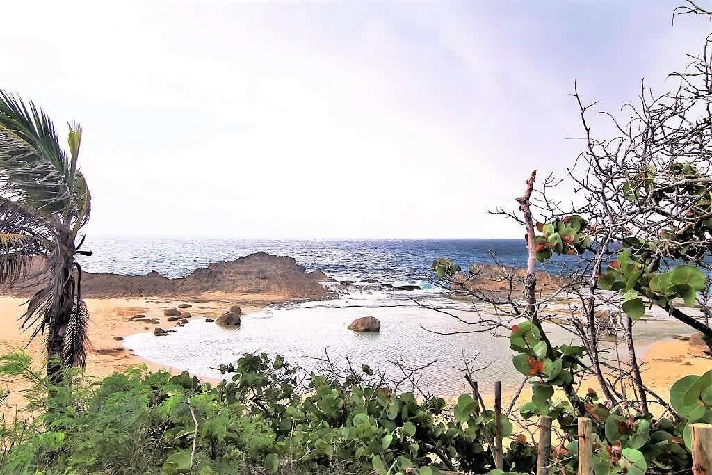 A coastal landscape with rocky outcrops, a sandy beach, and a palm tree.