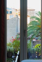 Vista desde un balcón con plantas en macetas y una palmera.