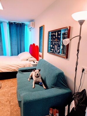 Premium bedding, down comforters, memory foam beds - Hostal estudios (Badalona)