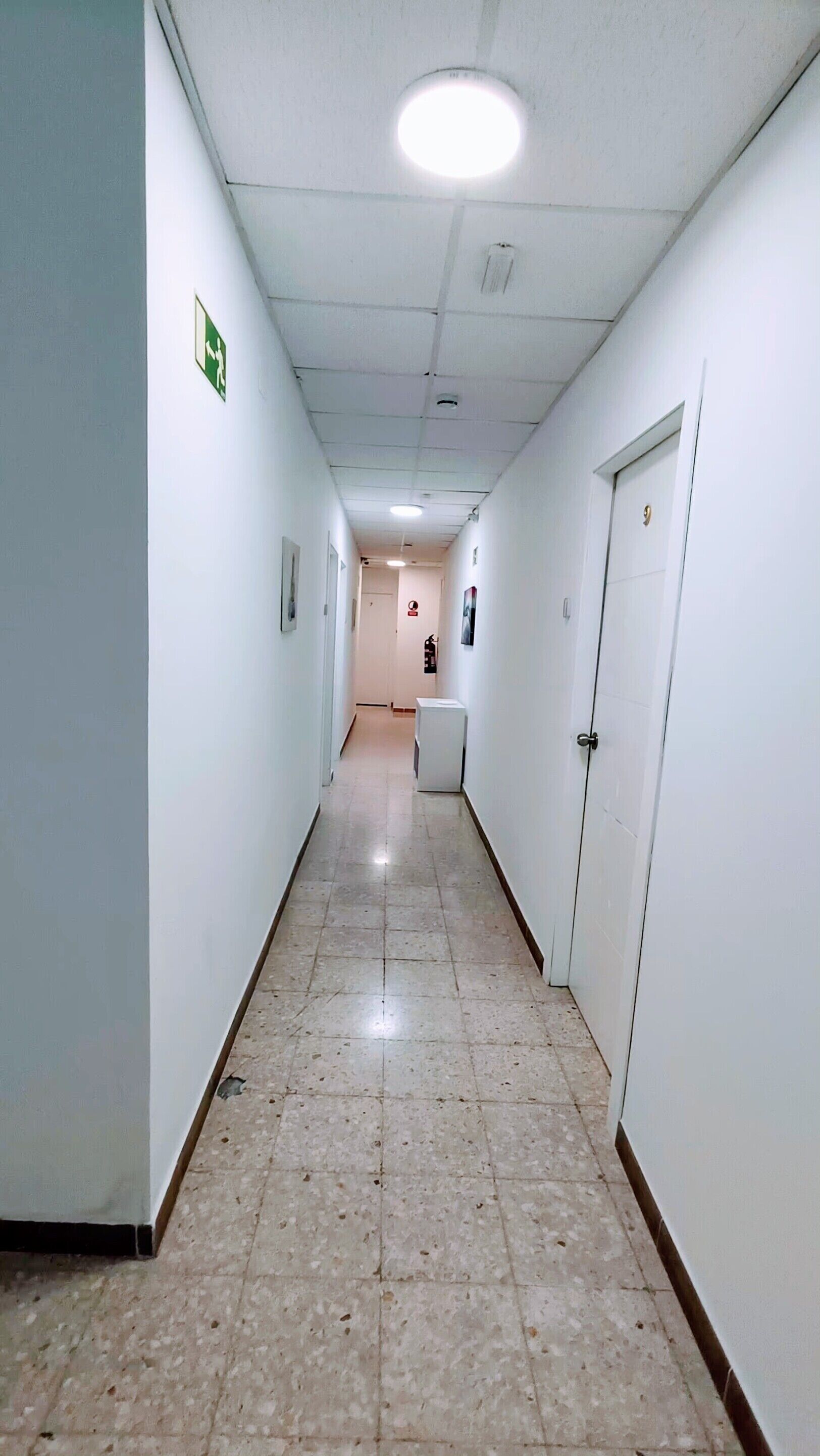 기타