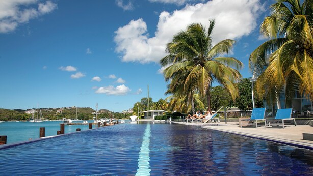 A swimming pool with palm trees, a clear sky, and a distant view of a marina. - luxury Two Bedroom Private Home/ your ideal way to vacation (St george)