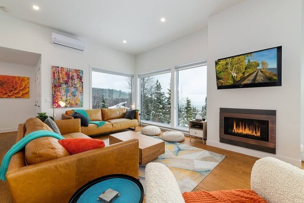 Salon avec foyer au gaz (1)