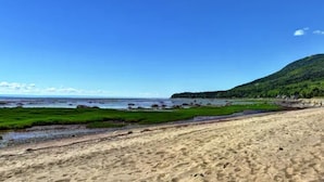 Una spiaggia con un litorale sabbioso, una zona erbosa e una collina ricoperta di vegetazione.