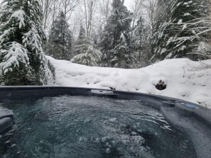 A hot tub surrounded by snow-covered trees.