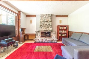 電視、壁爐、DVD 播放機