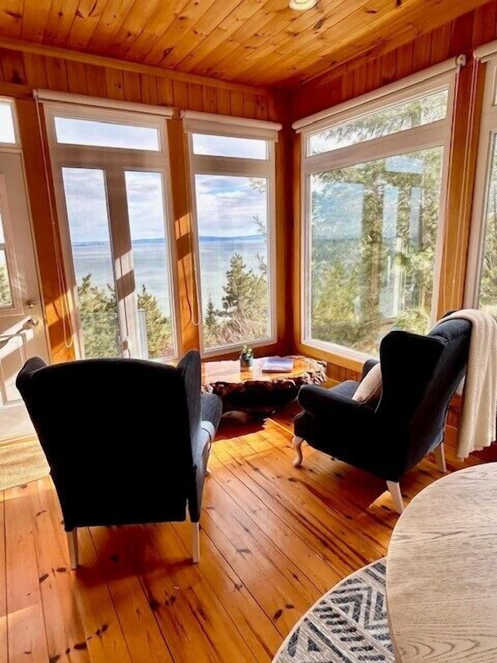 電視、DVD 播放機