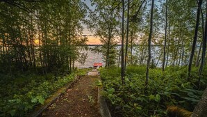 Un sendero arbolado que lleva a un muelle junto a un lago.