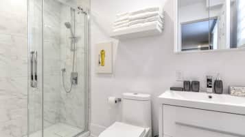 Shower, hair dryer, towels