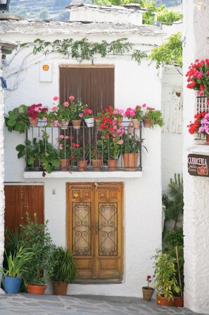 Exterior detail - El Sabuco - Four Bedroom Villa, Sleeps 8 (Carataunas)