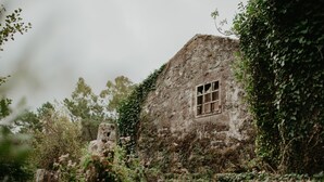 En rustik stenbyggnad med ett fönster, omgiven av tät grönska och vildvuxen vegetation.