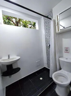 Seife, Toilettenpapier