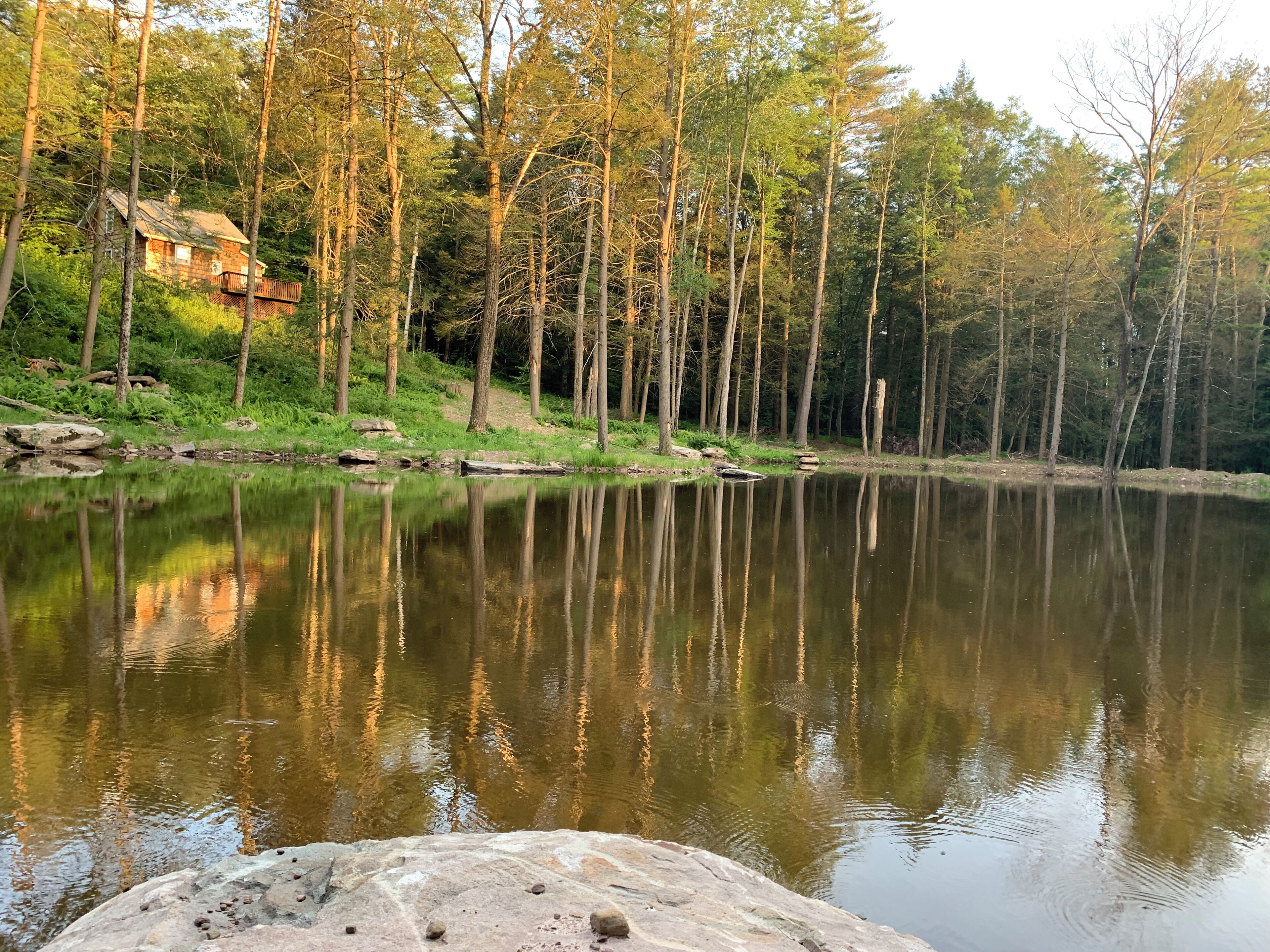 New 1 acre Pond! Cottage on 4 acres. Large Grill. Pet Friendly. 