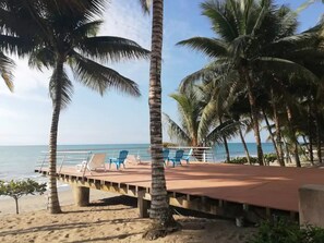 Een terras aan het strand met blauwe stoelen en palmbomen.