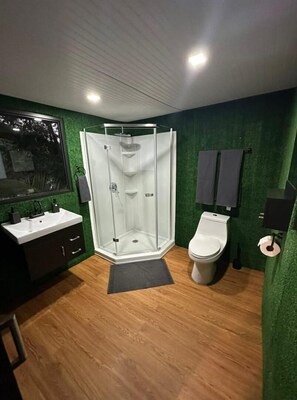 Regadera, toallas, jabón, shampoo 