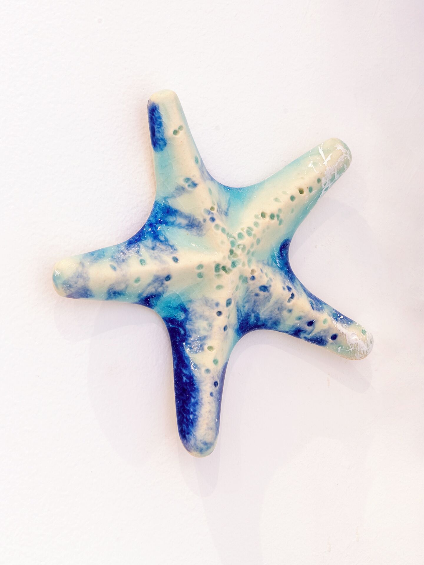 A starfish-shaped object with a blue and white color scheme.
