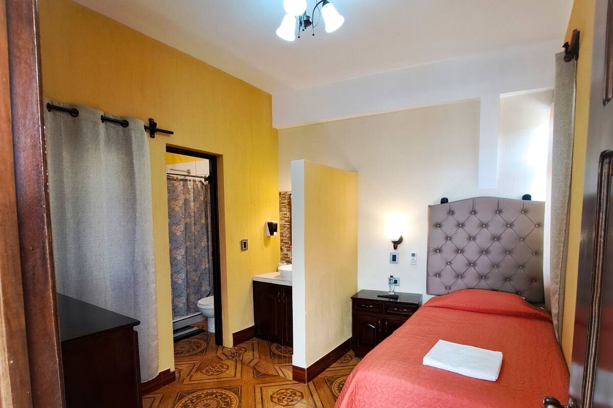 Habitación de hotel con cama, mesita de noche, espejo, armario y baño con ducha e inodoro.