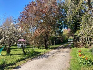 Um caminho de cascalho ladeado por árvores e um jardim florido.