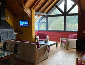 Televisión, chimenea