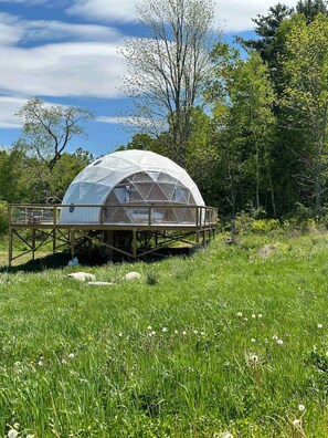 Property grounds - Dome 1 - Luxury Dome at Come Spring Farm (Union)