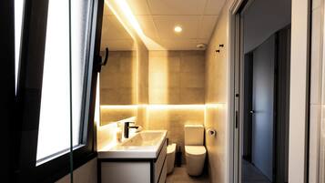 Shower, towels, toilet paper