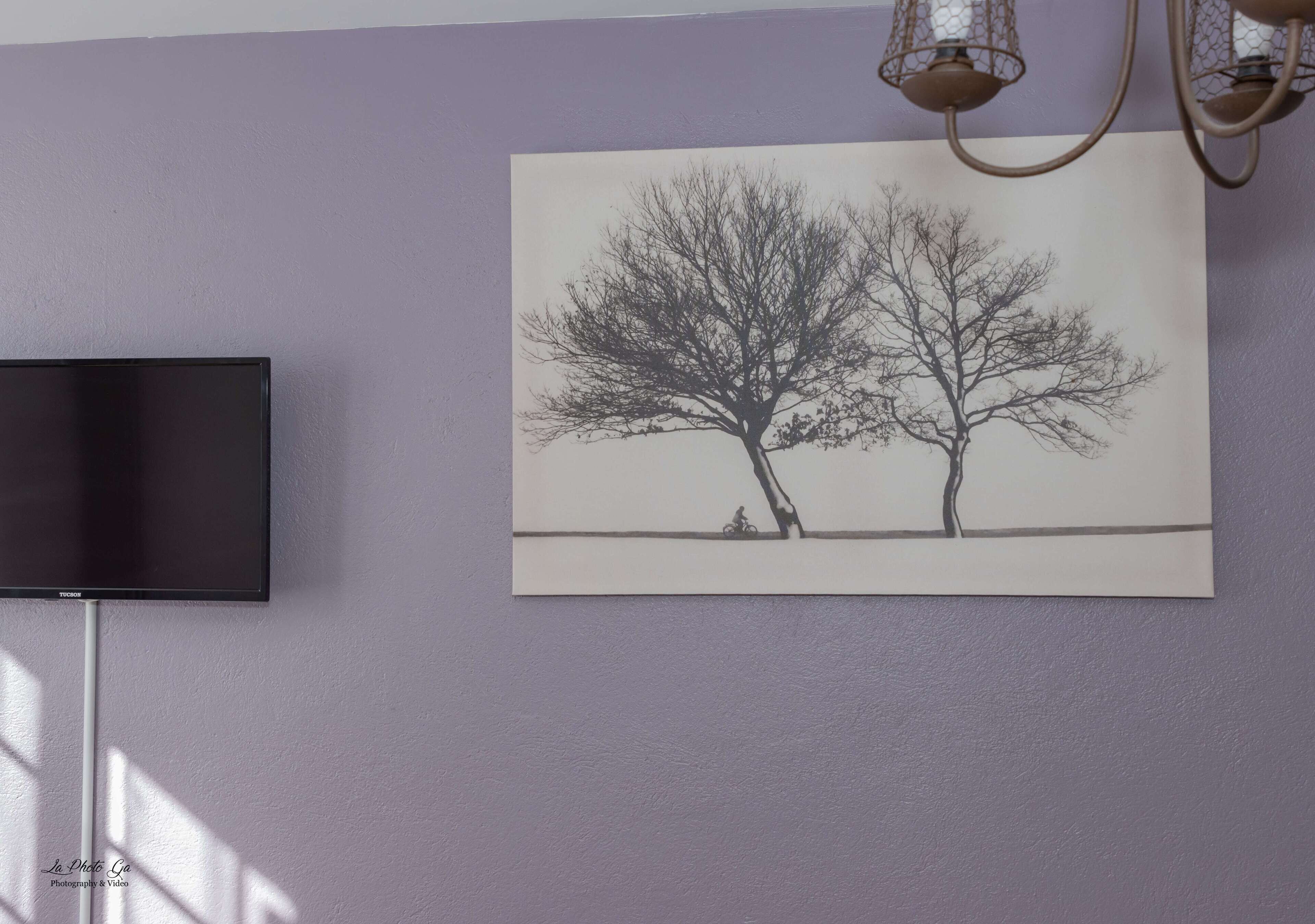 Quarto com televisão de tela plana na parede, quadro preto e branco com duas árvores e um candelabro.