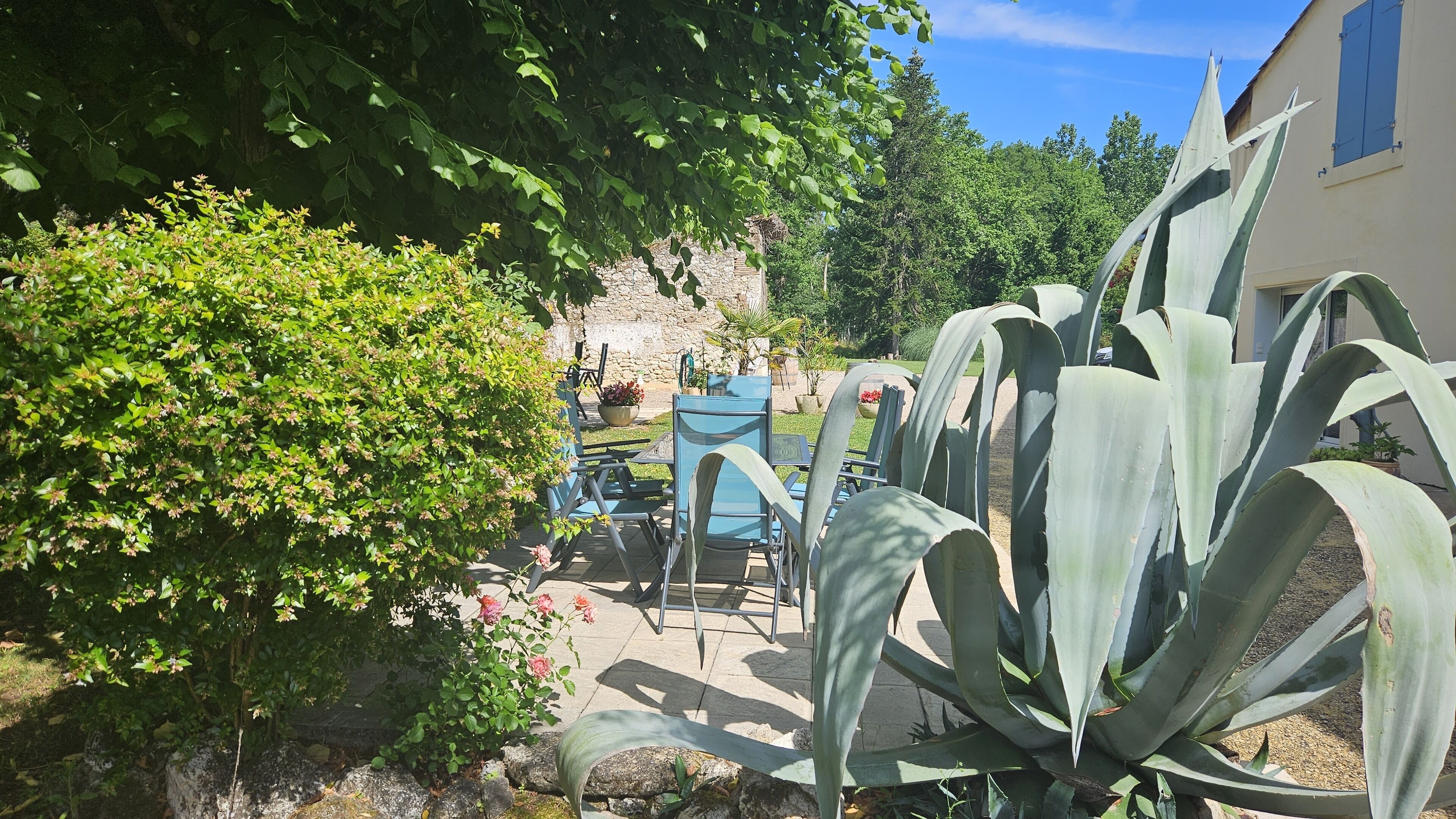 Un jardín con muro de piedra, una mesa y sillas, y plantas de agave grandes.