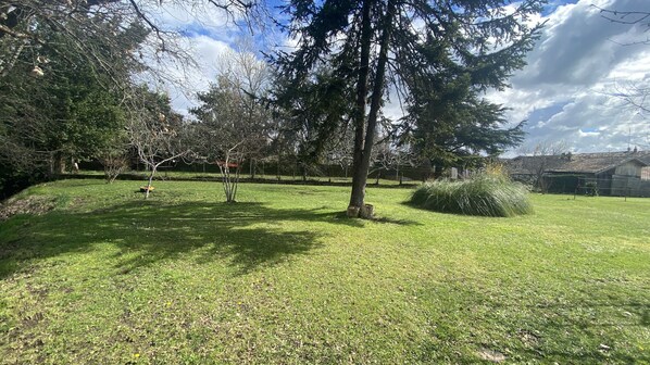 Un espace extérieur verdoyant, avec des arbres et une clôture.