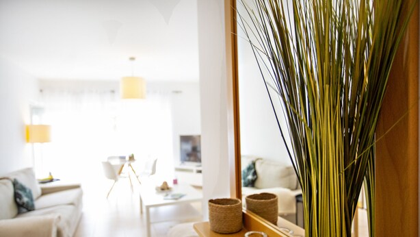 A modern living room with a sofa, a coffee table, and a lamp.
