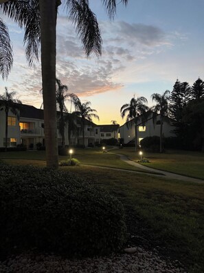 A residential area with houses, palm trees, and a pathway.