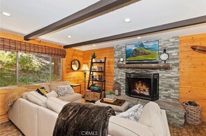 Smart TV, fireplace, books