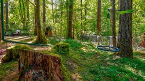 Ein bewaldetes Gebiet mit einer Schaukel, einer Bank und einem Baum mit einem hängenden Reifen.