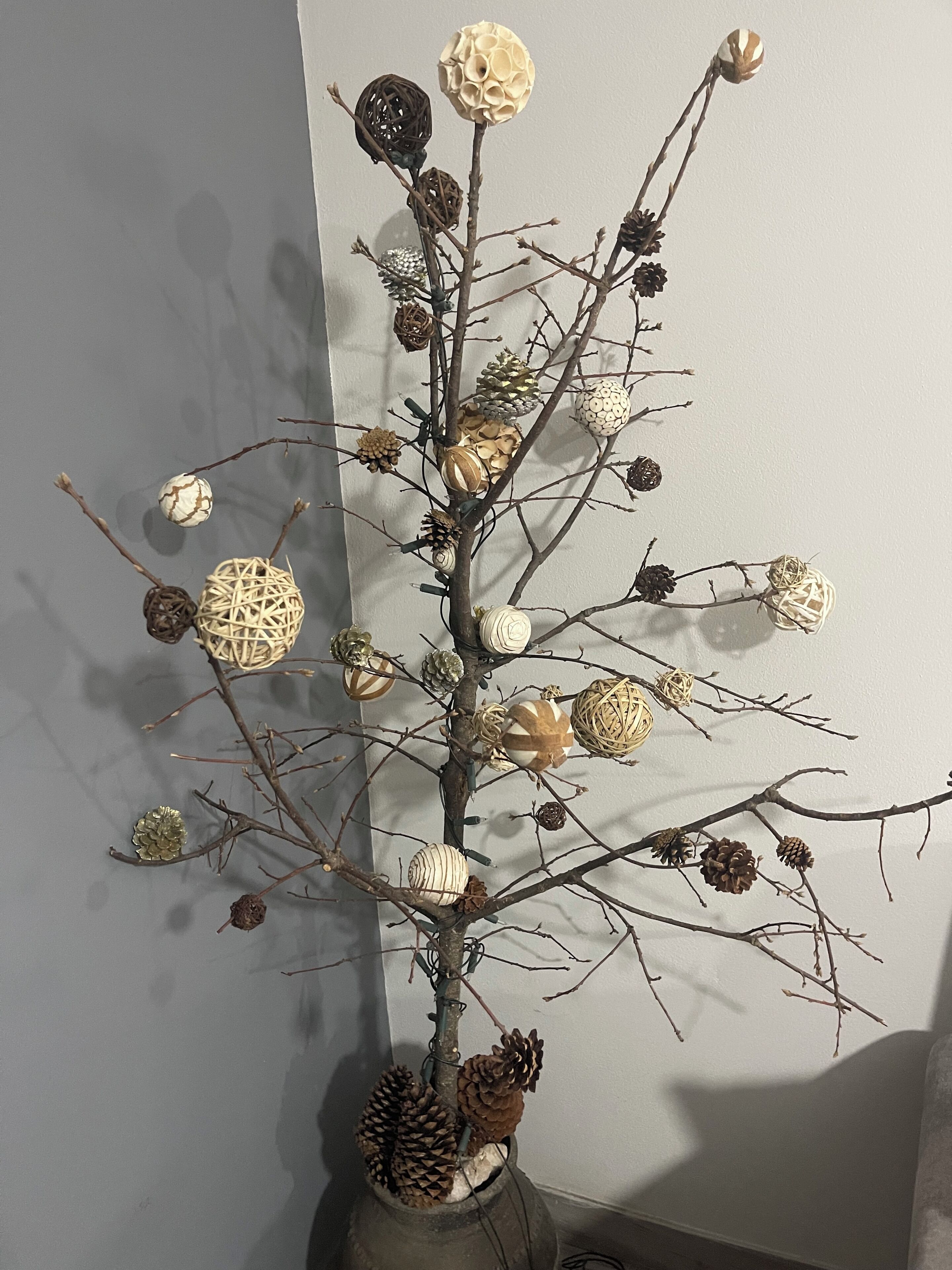 A decorative indoor plant arrangement with various ornaments and pine cones.