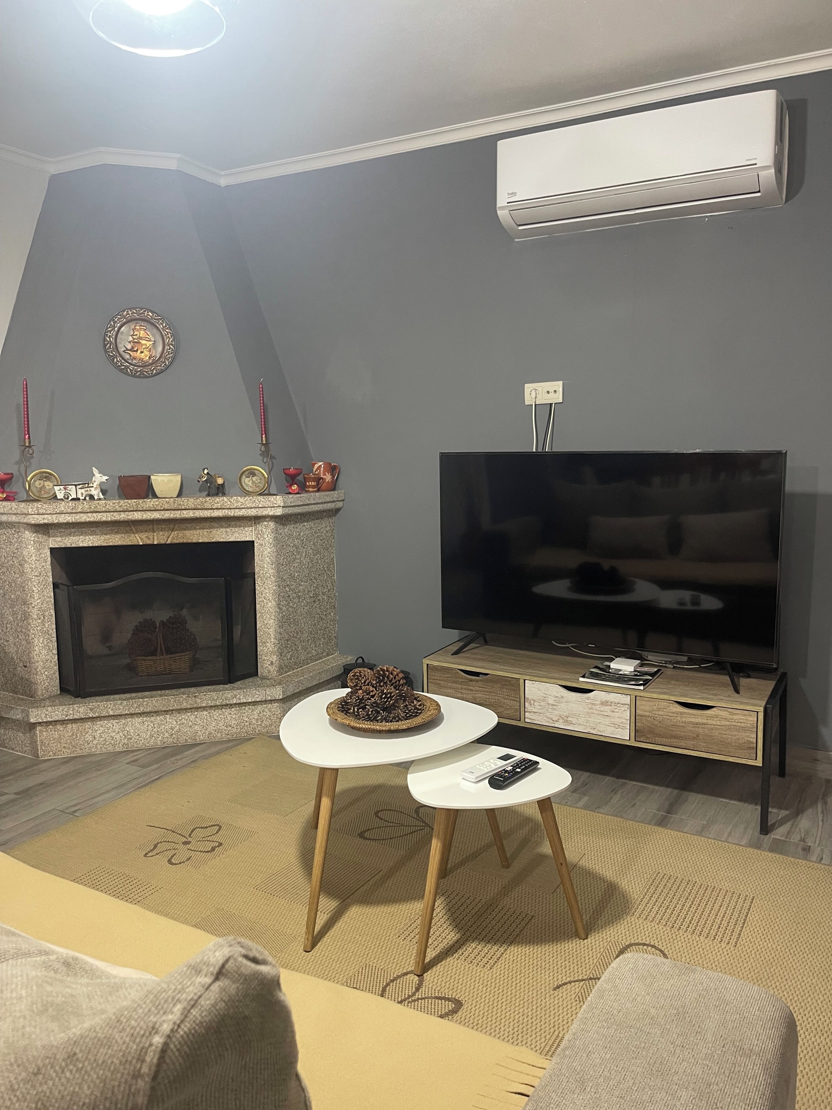 Smart TV, chimenea, libros