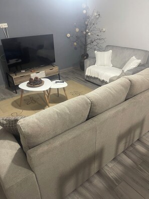 Smart TV, fireplace, books