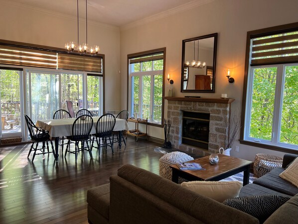 Smart TV, fireplace, video games, DVD player